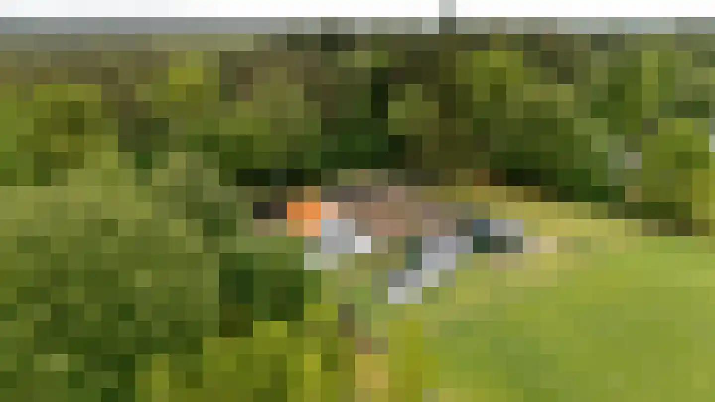 Bovendwarsweg 54 Oldebroek thumbnail 61