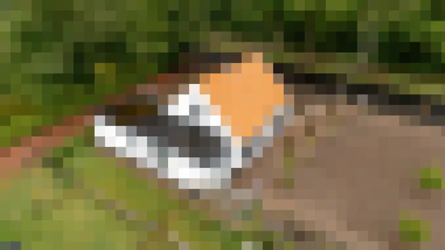 Bovendwarsweg 54 Oldebroek thumbnail 64