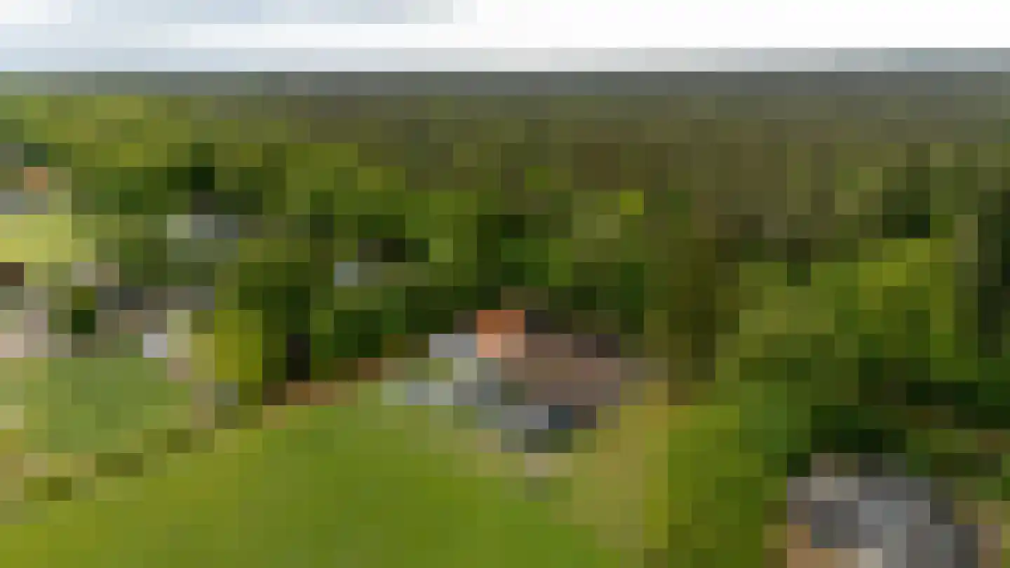 Bovendwarsweg 54 Oldebroek thumbnail 68