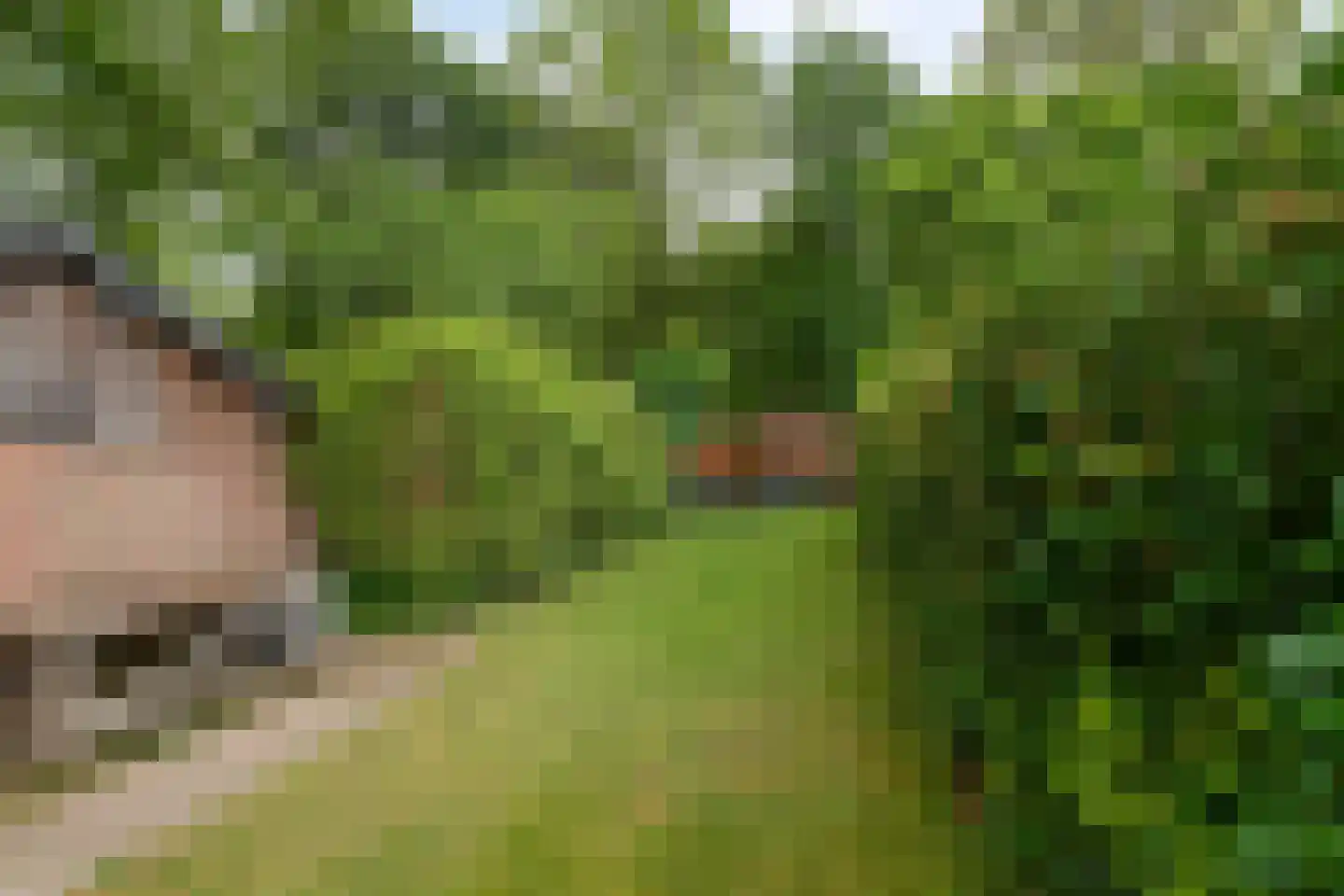 Bovendwarsweg 81 A Oldebroek thumbnail 33