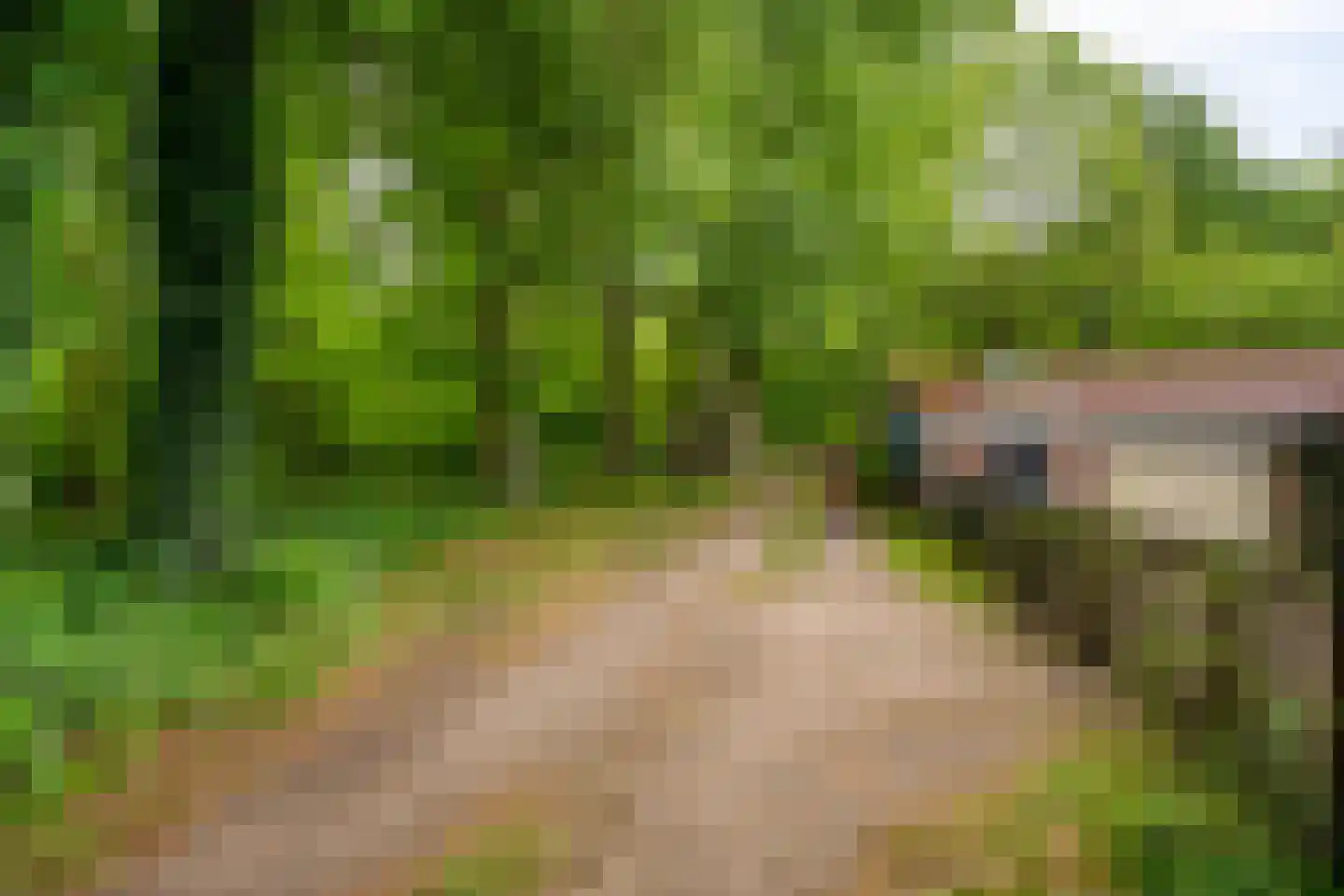 Bovendwarsweg 81 A Oldebroek thumbnail 38