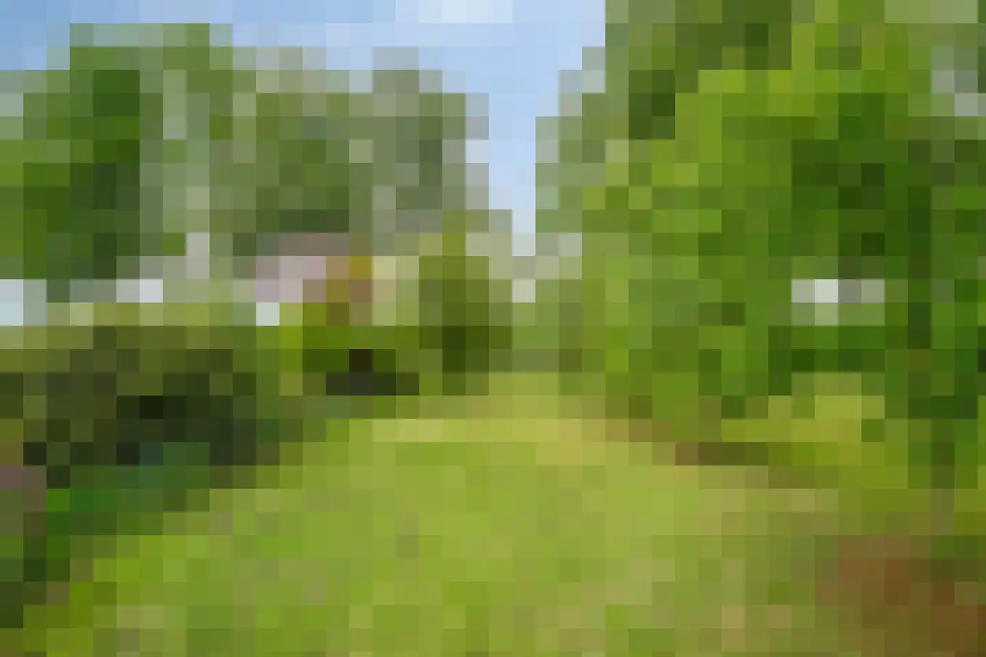 Bovendwarsweg 81 A Oldebroek thumbnail 46