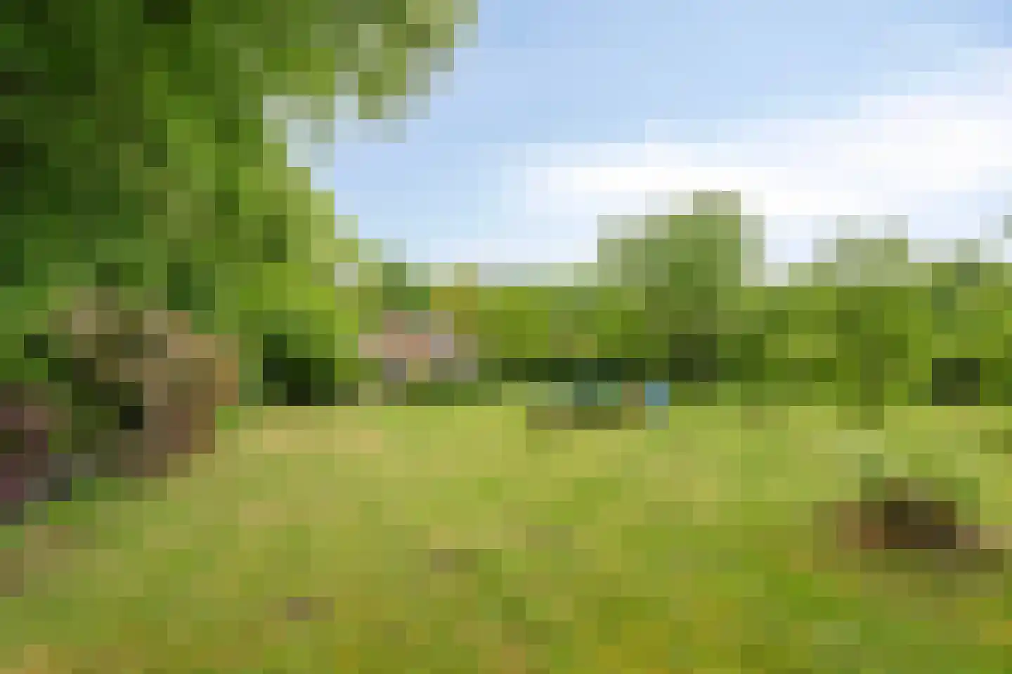 Bovendwarsweg 81 A Oldebroek thumbnail 47