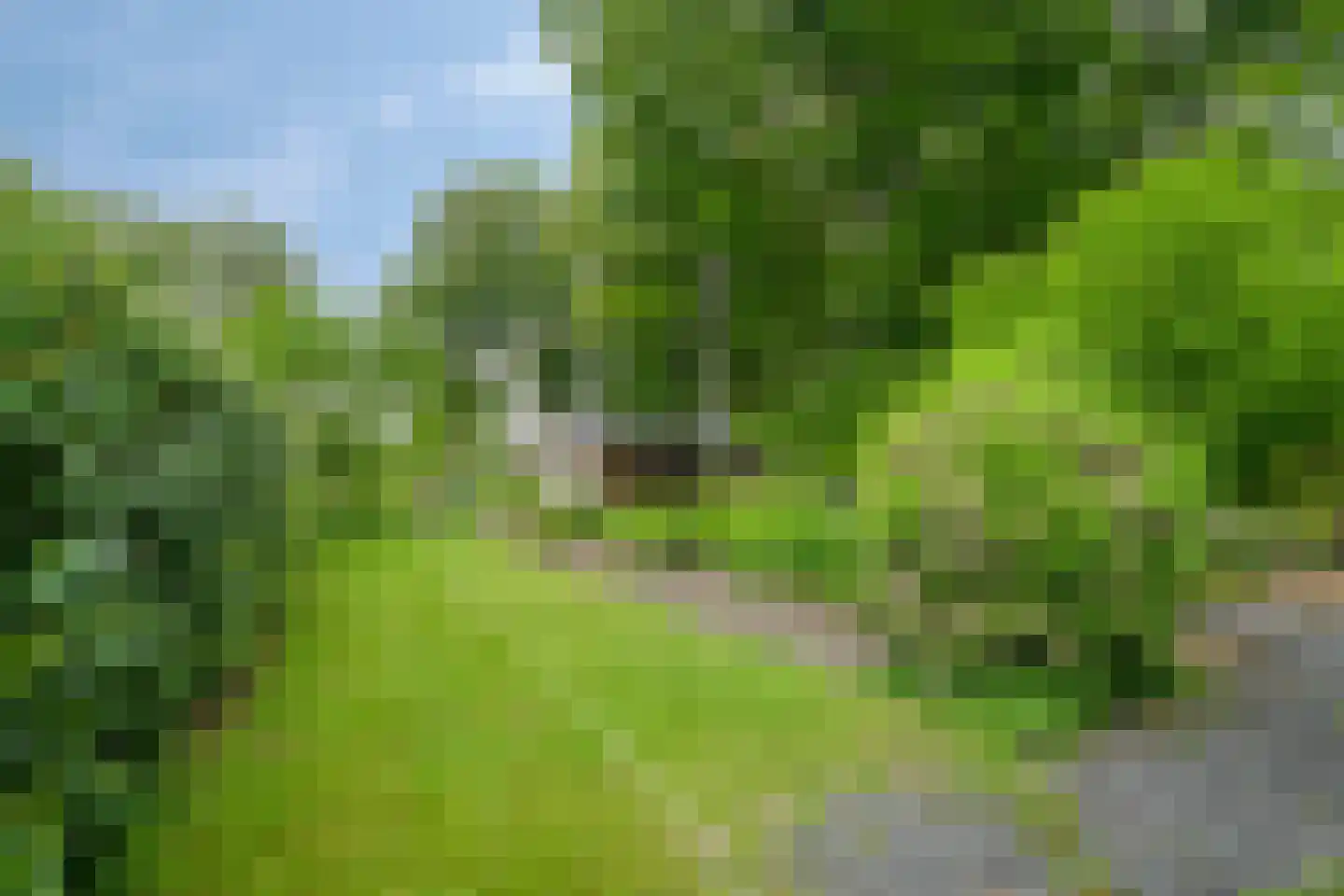 Bovendwarsweg 81 A Oldebroek thumbnail 50