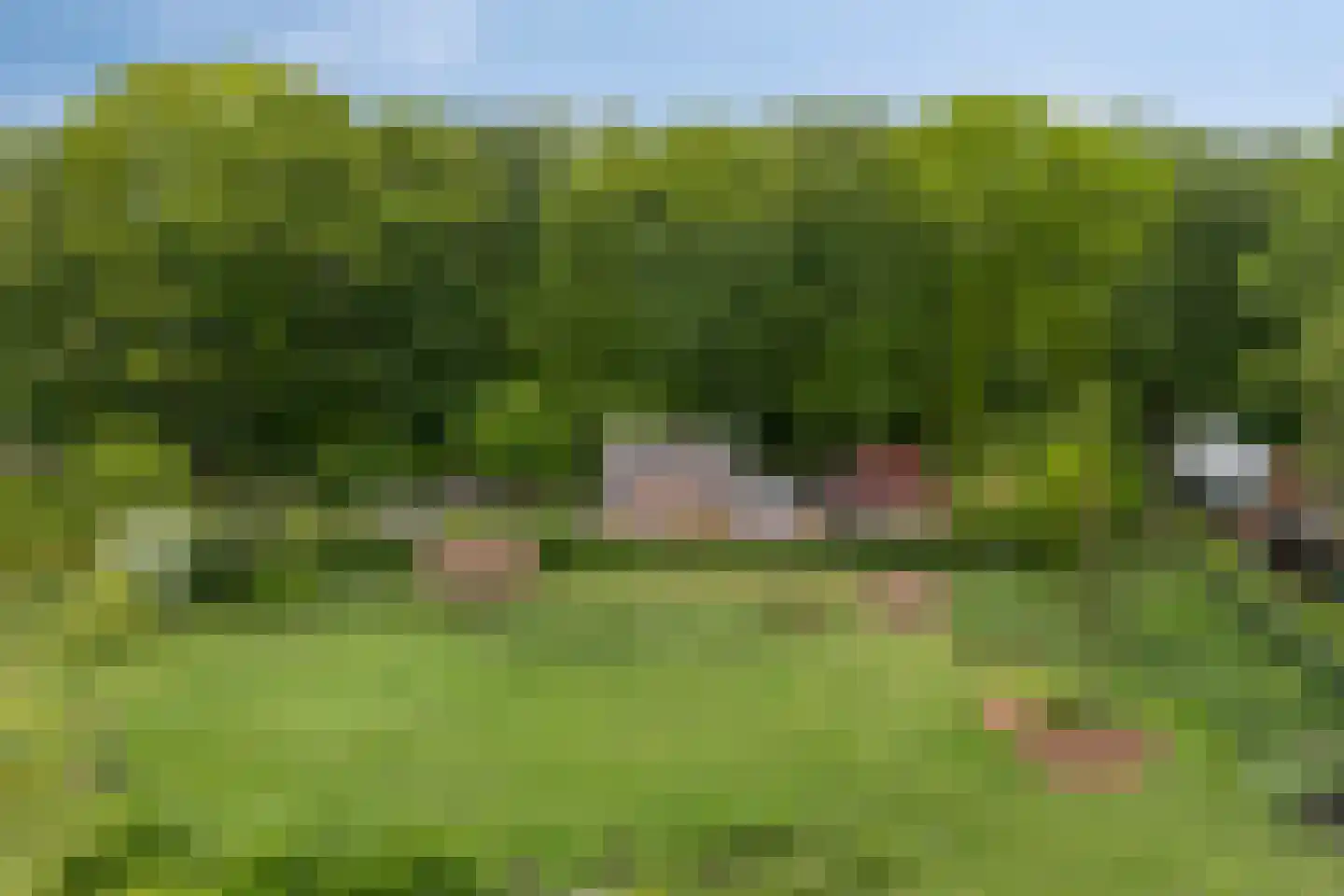 Bovendwarsweg 81 A Oldebroek thumbnail 58