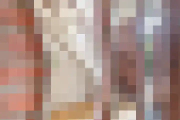 Bovendwarsweg 9 't Harde thumbnail 10