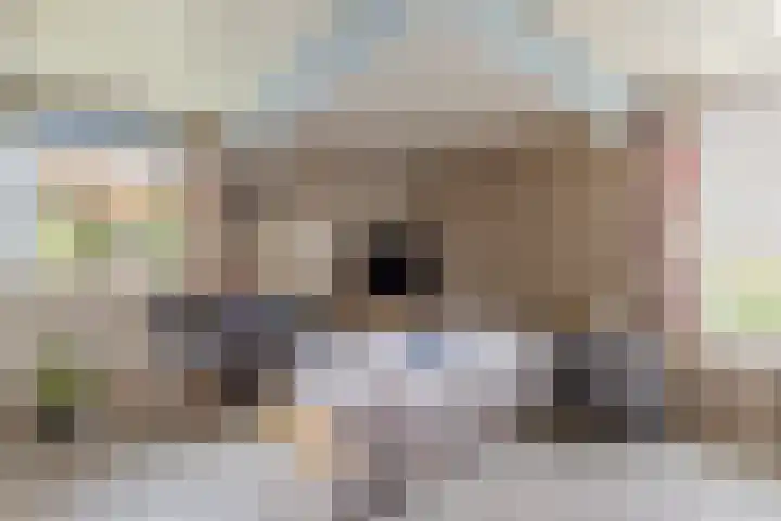 Bovendwarsweg 9 't Harde thumbnail 12