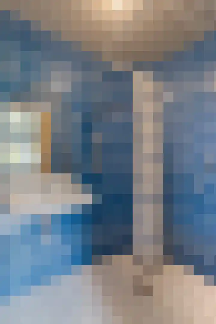 Bovendwarsweg 9 't Harde thumbnail 15