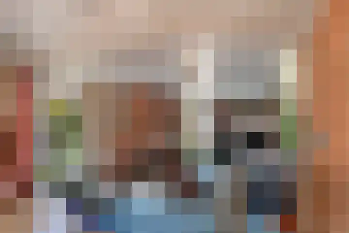 Bovendwarsweg 9 't Harde thumbnail 18
