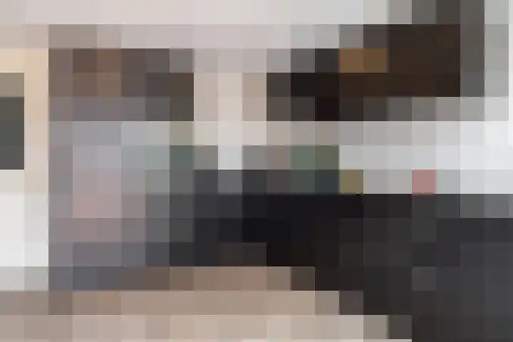 Bovendwarsweg 9 't Harde foto 2
