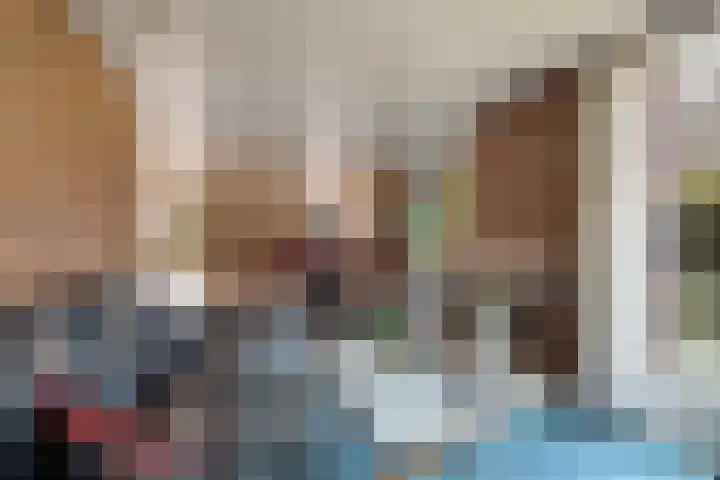 Bovendwarsweg 9 't Harde thumbnail 20