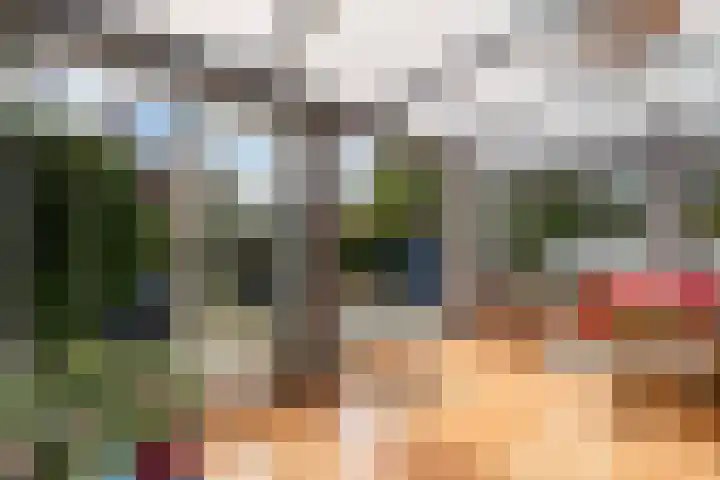 Bovendwarsweg 9 't Harde thumbnail 25