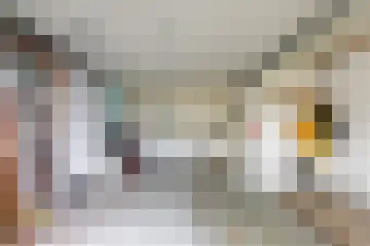Bovendwarsweg 9 't Harde thumbnail 28