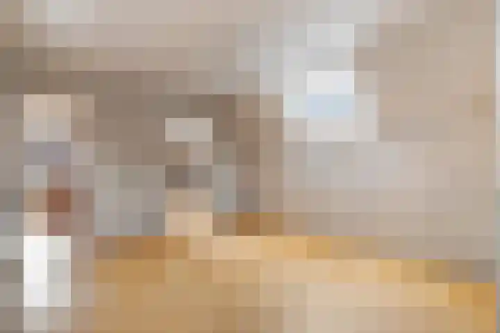 Bovendwarsweg 9 't Harde thumbnail 30