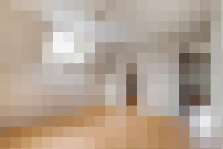 Bovendwarsweg 9 't Harde thumbnail 31