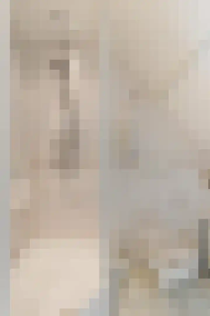 Bovendwarsweg 9 't Harde thumbnail 33