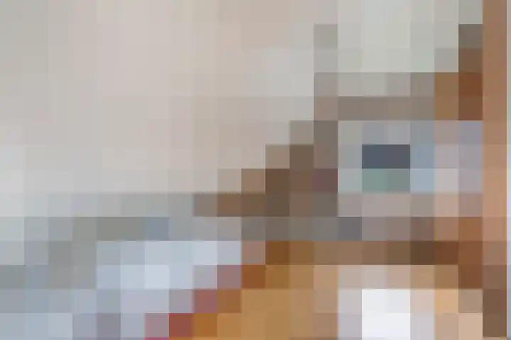 Bovendwarsweg 9 't Harde thumbnail 34
