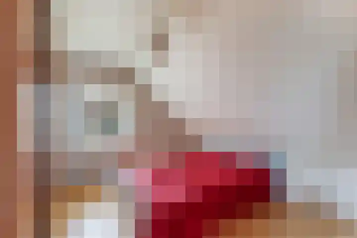 Bovendwarsweg 9 't Harde thumbnail 36