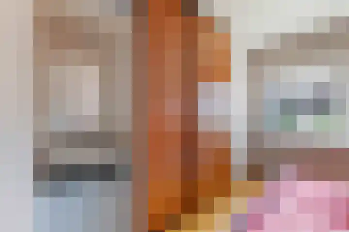 Bovendwarsweg 9 't Harde thumbnail 37