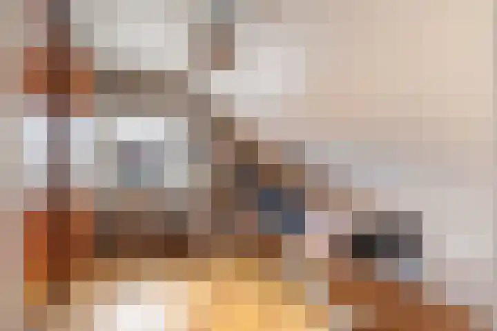 Bovendwarsweg 9 't Harde thumbnail 38