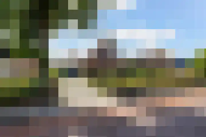 Bovendwarsweg 9 't Harde thumbnail 4