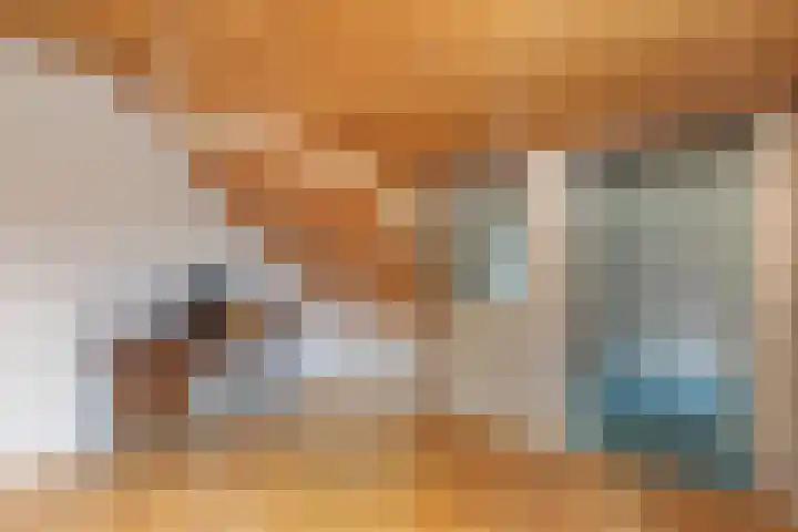 Bovendwarsweg 9 't Harde thumbnail 40