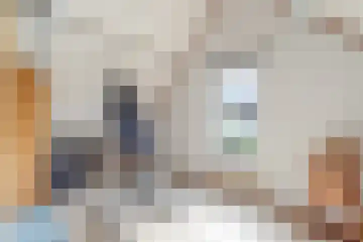 Bovendwarsweg 9 't Harde thumbnail 42
