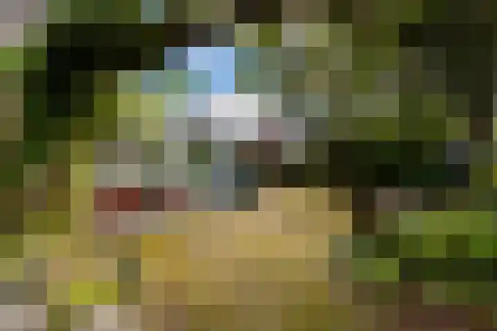 Bovendwarsweg 9 't Harde thumbnail 45