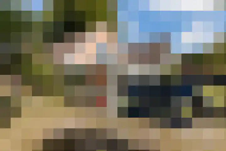 Bovendwarsweg 9 't Harde thumbnail 47