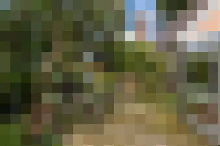 Bovendwarsweg 9 't Harde thumbnail 48