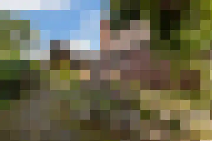Bovendwarsweg 9 't Harde thumbnail 49
