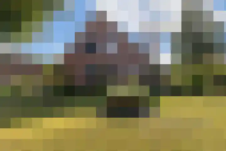 Bovendwarsweg 9 't Harde thumbnail 5
