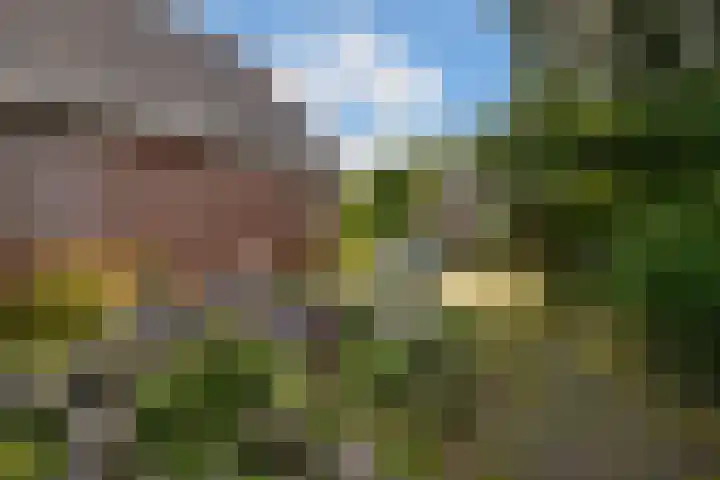 Bovendwarsweg 9 't Harde thumbnail 50
