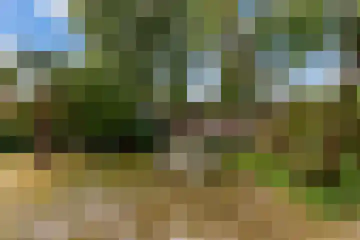 Bovendwarsweg 9 't Harde thumbnail 51