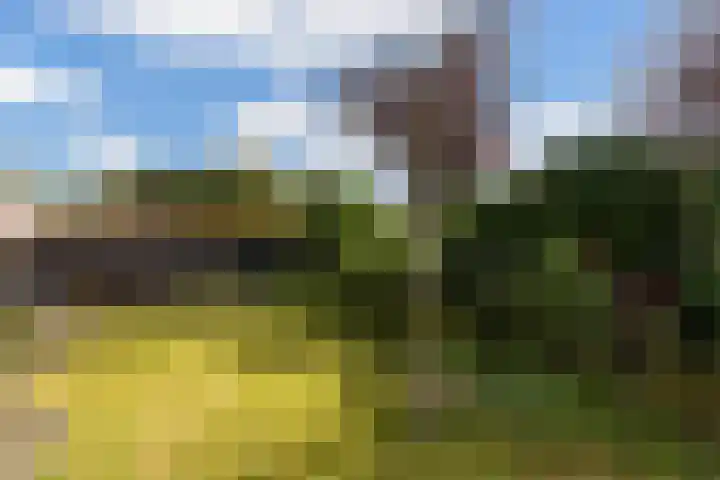 Bovendwarsweg 9 't Harde thumbnail 52