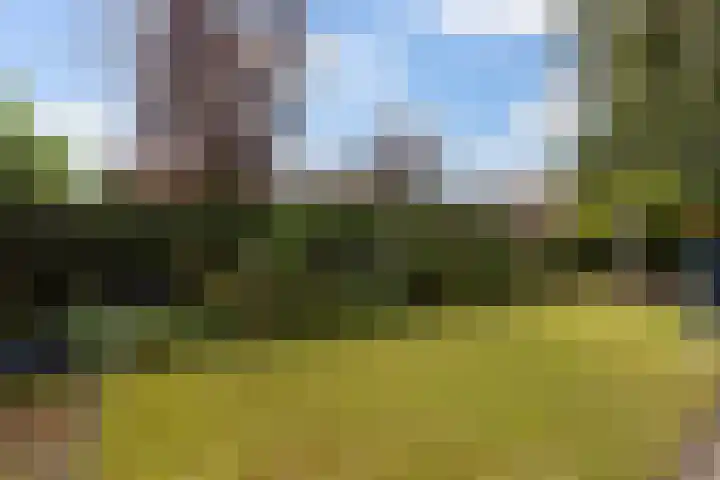 Bovendwarsweg 9 't Harde thumbnail 53