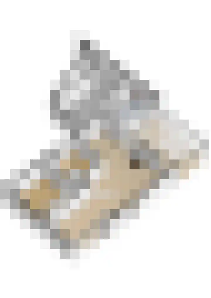 Bovendwarsweg 9 't Harde thumbnail 58
