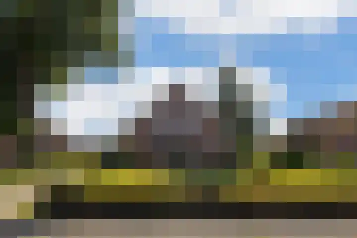 Bovendwarsweg 9 't Harde thumbnail 6