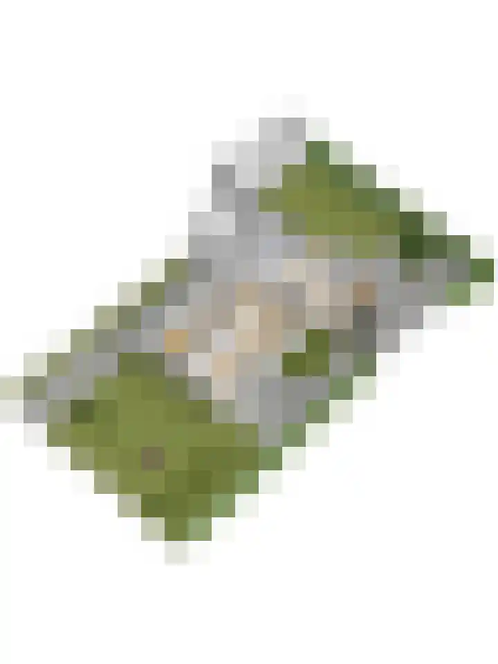 Bovendwarsweg 9 't Harde thumbnail 61