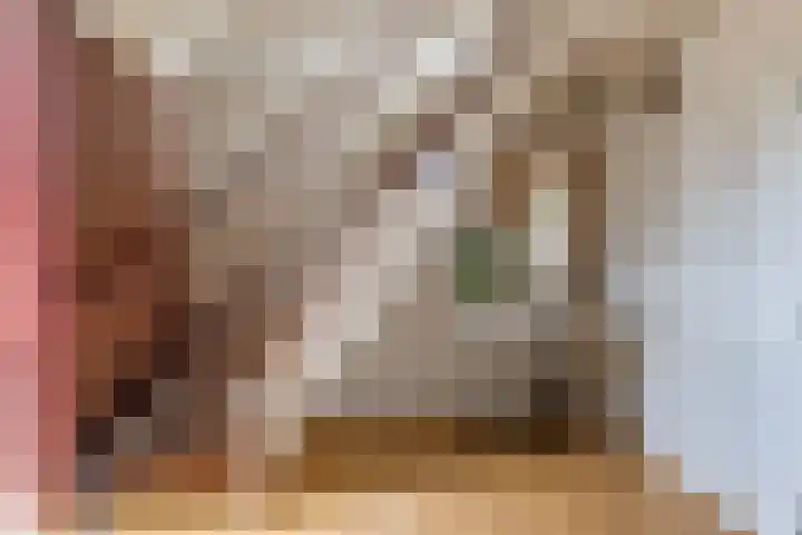 Bovendwarsweg 9 't Harde thumbnail 9