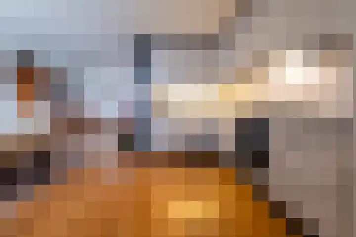Boveneind 38 Leek thumbnail 14
