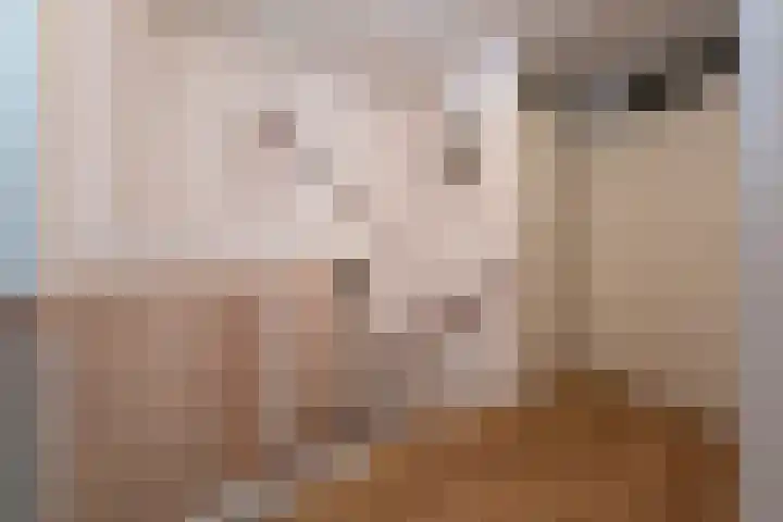 Boveneind 38 Leek thumbnail 18