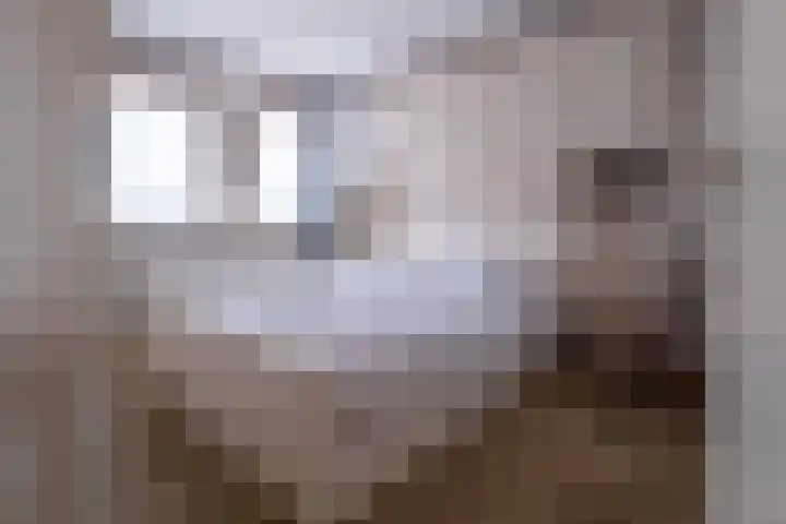 Boveneind 38 Leek thumbnail 19