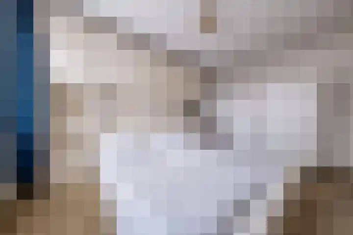 Boveneind 38 Leek thumbnail 20