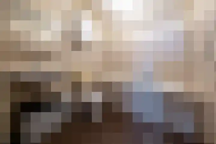 Boveneind 38 Leek thumbnail 25