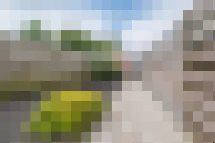 Boveneind 38 Leek thumbnail 29