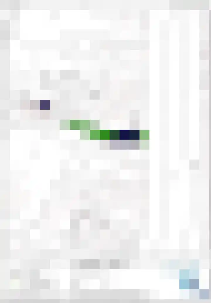 Boveneind 38 Leek thumbnail 39