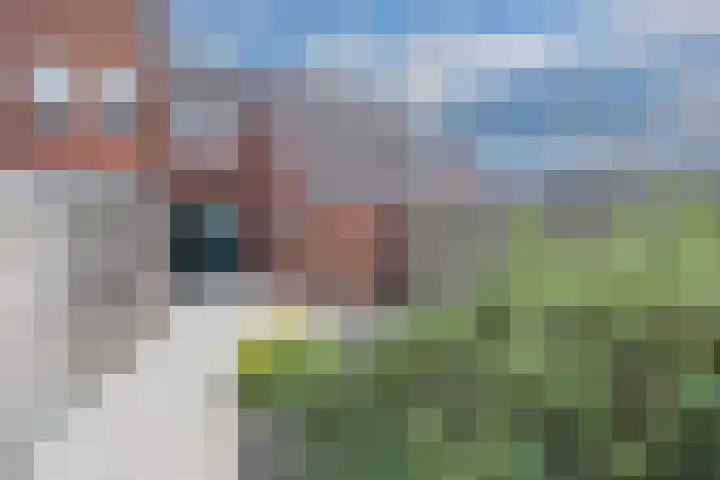 Boveneind 38 Leek thumbnail 4