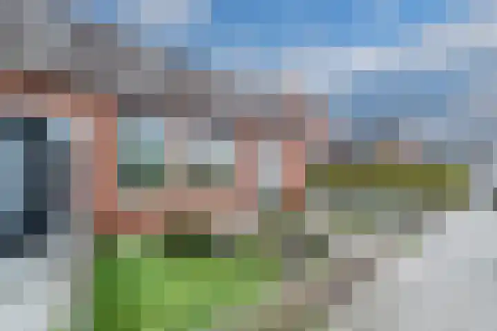 Boveneind 38 Leek thumbnail 6