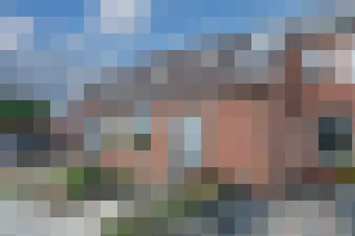Boveneind 38 Leek thumbnail 7